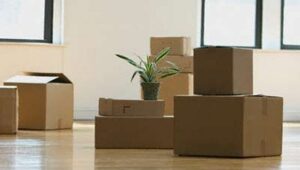 Packers and Movers Sector 7 Gurgaon