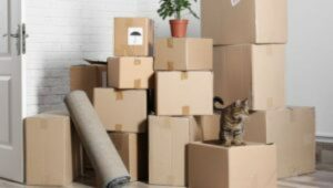 Packers and Movers Sector 18 Dwarka